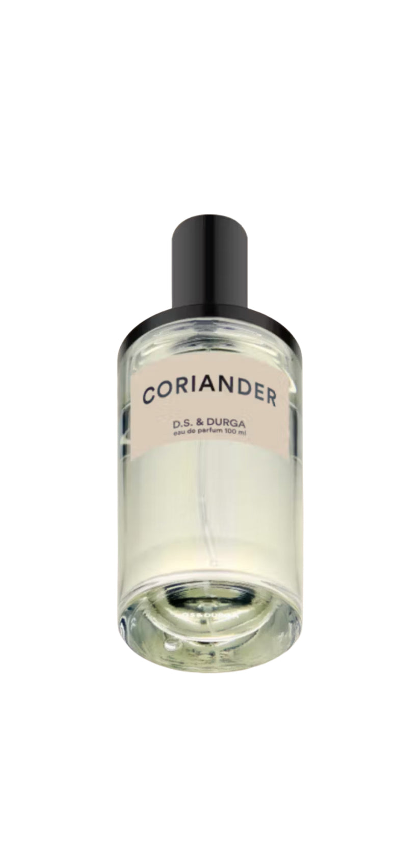 DS&DURGA Coriander